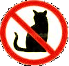 Pas de chats