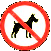 Pas de chiens